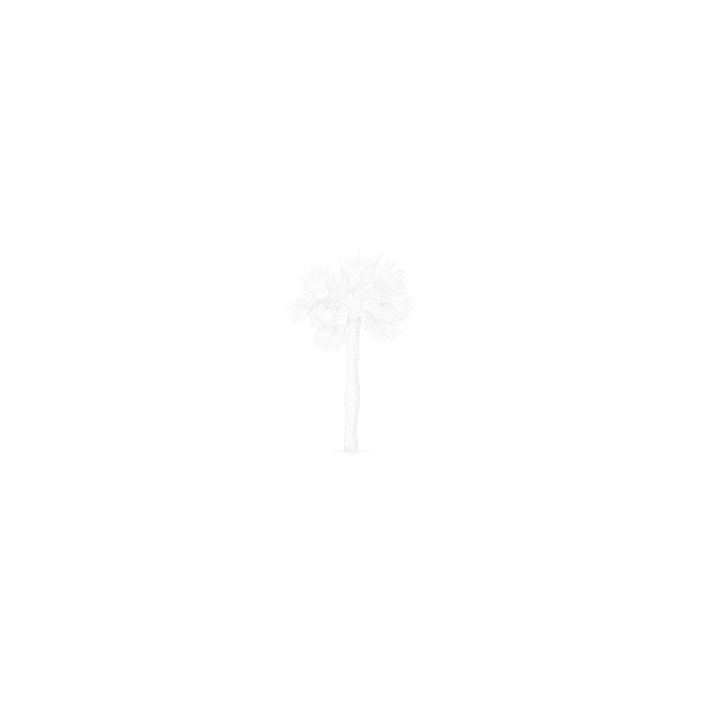 Costa Verde Logo