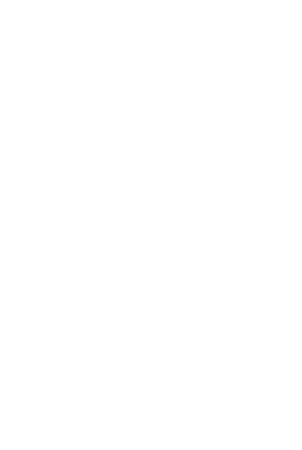 Palma Logo Costa Verde